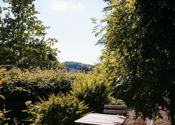 Ferienwohnung Kurpark Brilon Am Rothaarsteig